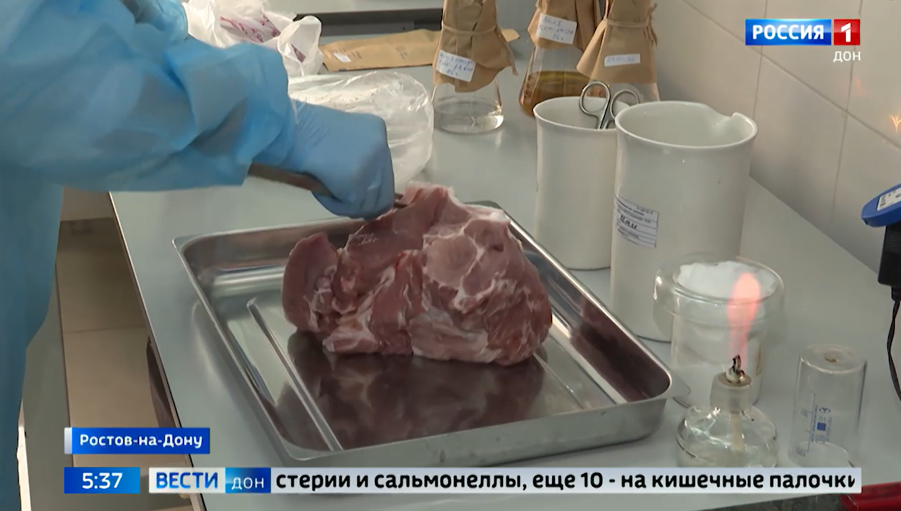 ТВ: Майские шашлыки: исследование мяса в лаборатории ЦОК АПК и советы экспертов по выбору качественных и безопасных продуктов